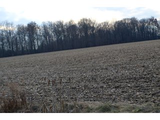 Property photo 6 - LAND AUCTION - 19.55+/- ACRES IN 1 TRACT IN ALLEN COUNTY, INDIANA